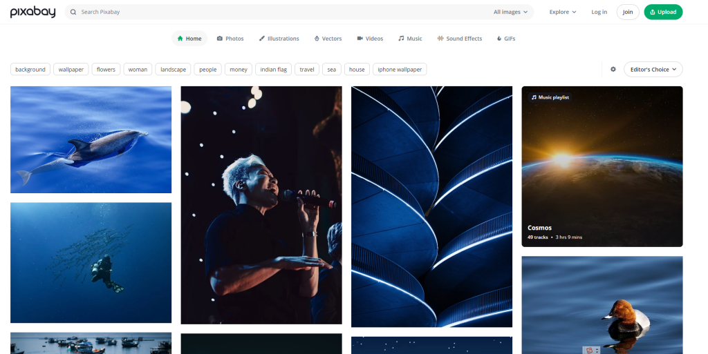 图片[1]-免费高清图片素材库 - pixabay