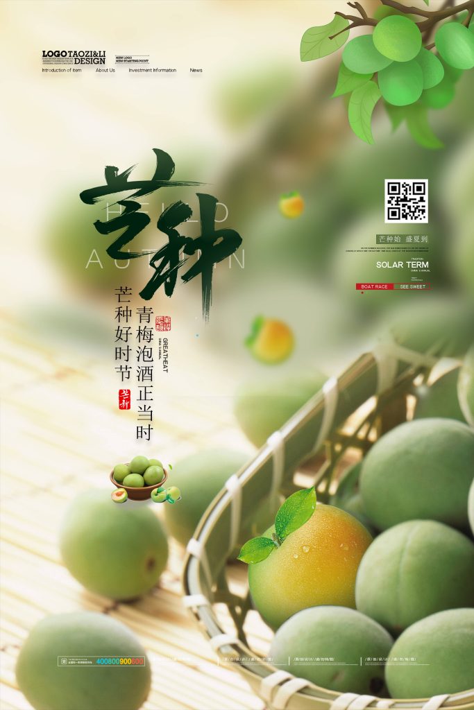 图片[1]-芒种海报素材